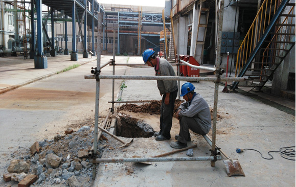 1658800717657469.jpg 20b3108c-c476-400e-90f2-19c5009acf94.jpg